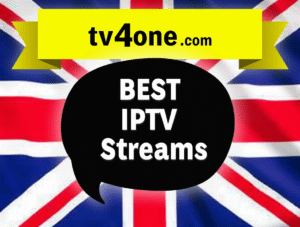 beast streams