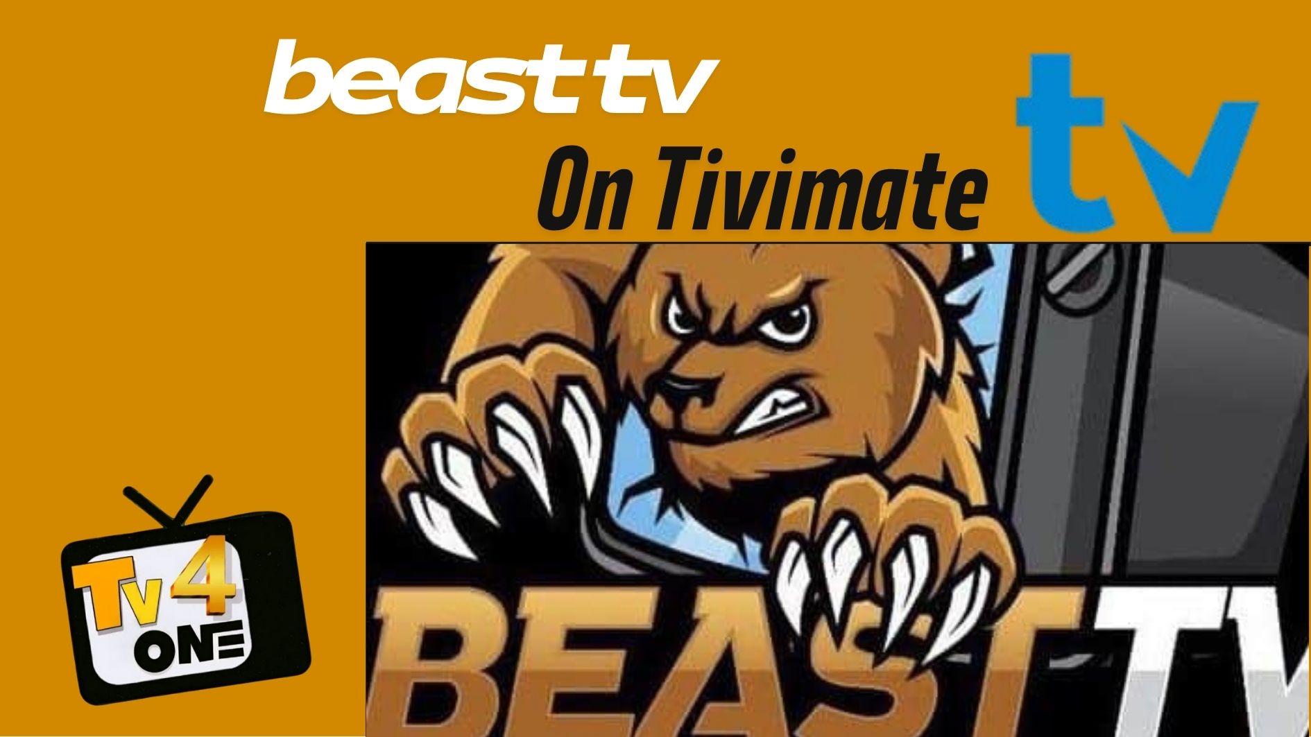 tivimate beast tv setup
