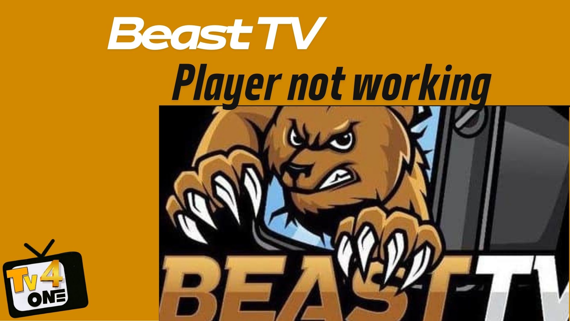 Beast TV Player Not Working